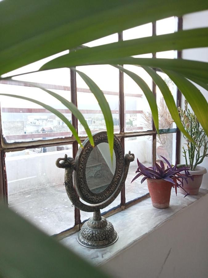 Cocoon Auberge 자이푸르 외부 사진