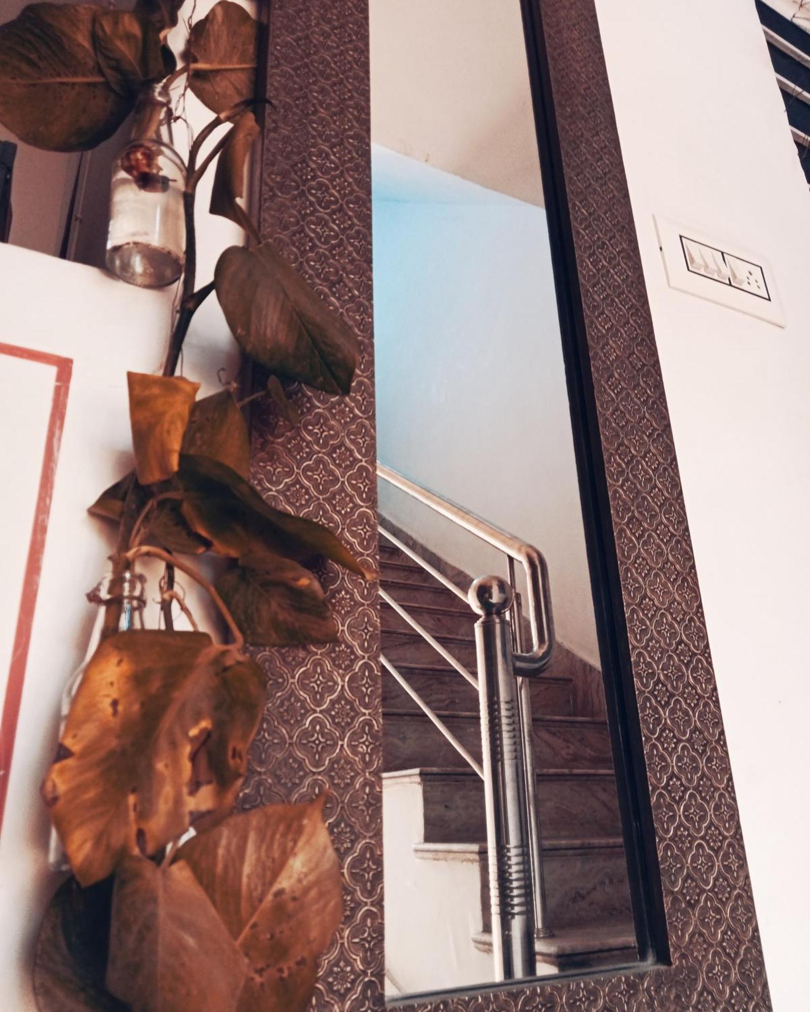 Cocoon Auberge 자이푸르 외부 사진